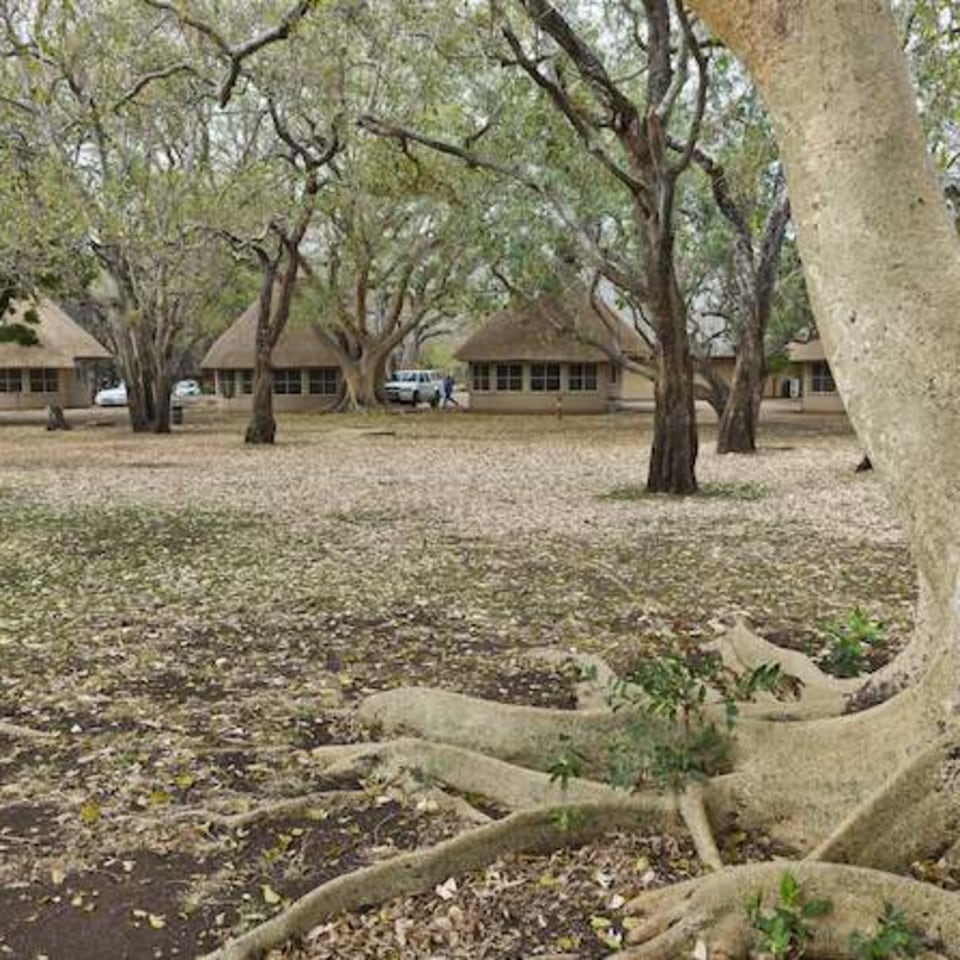 Letaba Main Camp